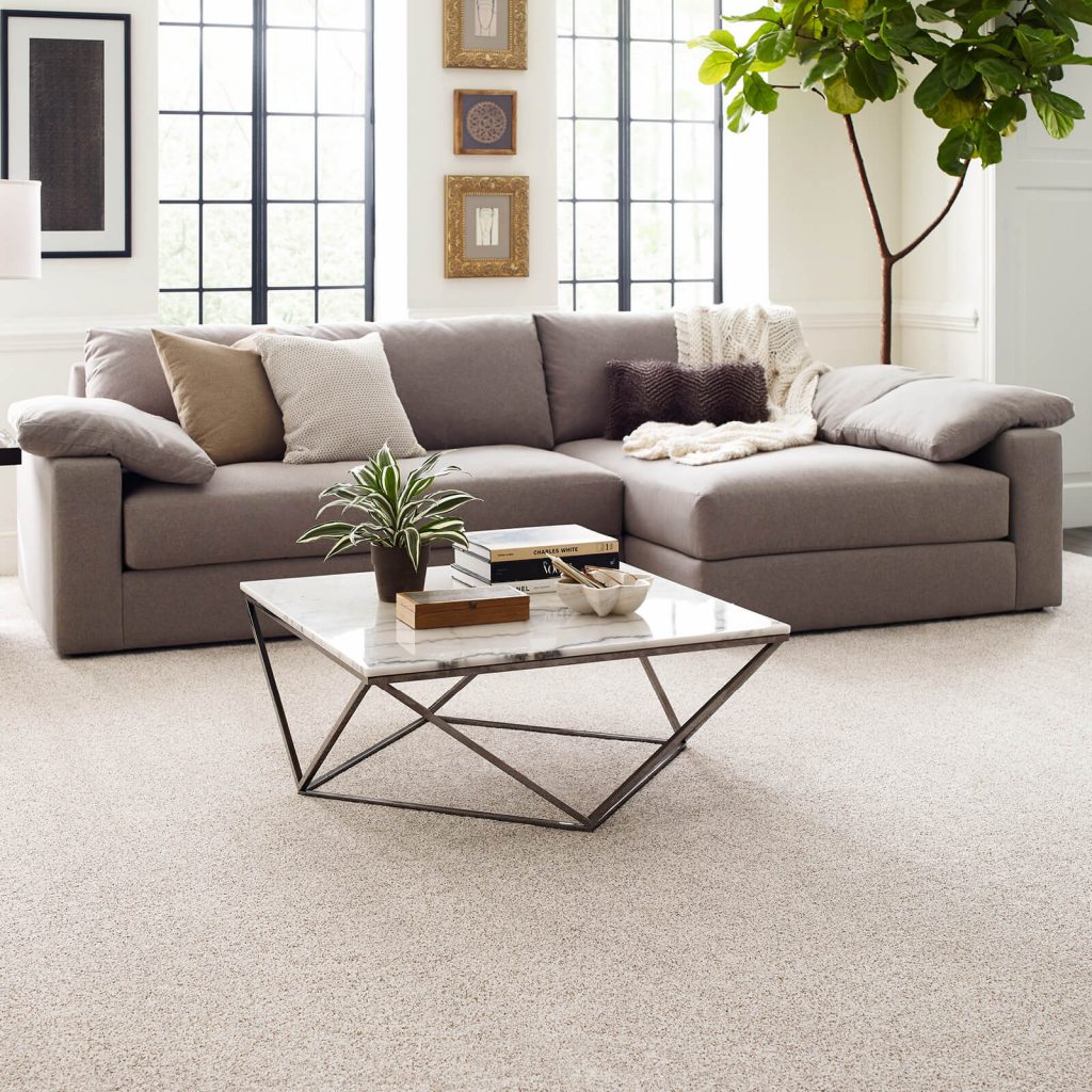 Living room carpet floor | H&R Carpets and Flooring