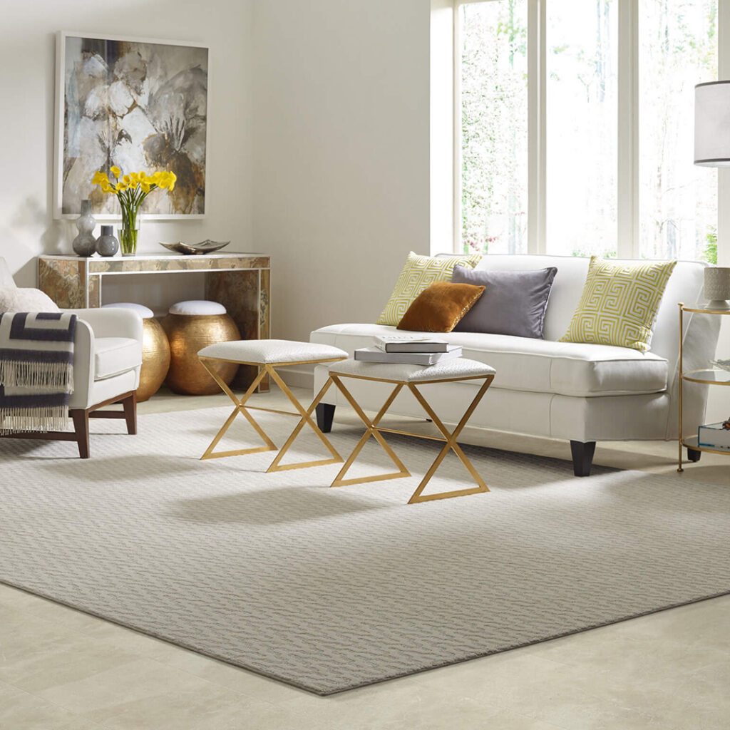 Area Rug | H&R Carpets & Flooring